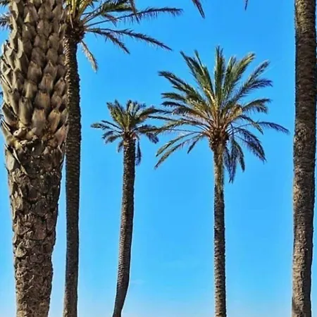 Estudio Renovado Con Terraza A 200m De La Playa De + Parking Privado Y Climatizacion - Es-258-14